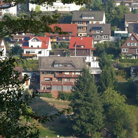 Haus Krick Apartment Alpirsbach Exterior foto