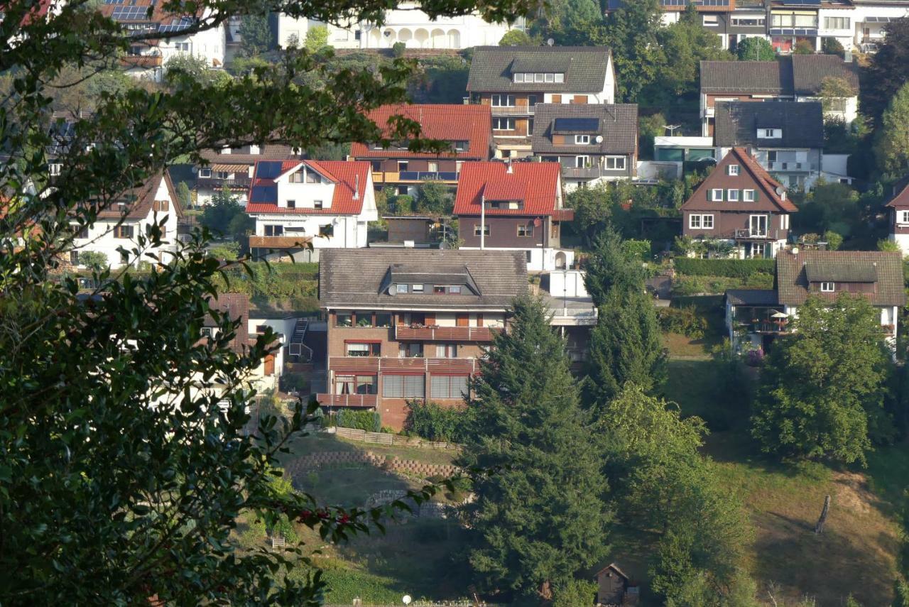Haus Krick Apartment Alpirsbach Exterior foto